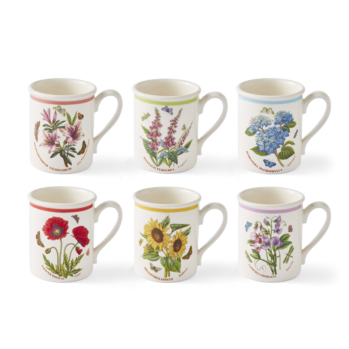 Botanic Garden Meadow Breakfast Mug Set of 6 image number null